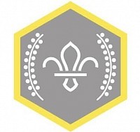 Chief Scout Silver Award