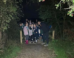 Evening Night Walks