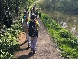 Leicestershire Rambling Fox